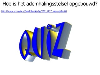 Hoe is het ademhalingsstelsel opgebouwd?
http://www.schooltv.nl/beeldbank/clip/20111117_ademhalen01
 