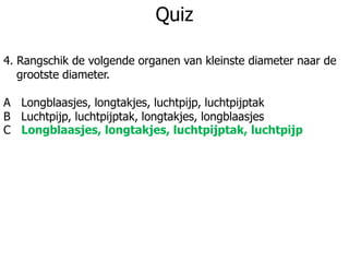 Quiz
4. Rangschik de volgende organen van kleinste diameter naar de
grootste diameter.
A Longblaasjes, longtakjes, luchtpijp, luchtpijptak
B Luchtpijp, luchtpijptak, longtakjes, longblaasjes
C Longblaasjes, longtakjes, luchtpijptak, luchtpijp
 