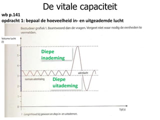 De vitale capaciteit
wb p.141
opdracht 1: bepaal de hoeveelheid in- en uitgeademde lucht
Volume lucht
(l)
Diepe
inademing
Diepe
uitademing
 