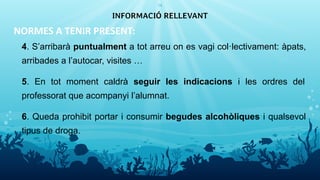 NORMES A TENIR PRESENT:
4. S’arribarà puntualment a tot arreu on es vagi col·lectivament: àpats,
arribades a l’autocar, visites …
5. En tot moment caldrà seguir les indicacions i les ordres del
professorat que acompanyi l’alumnat.
6. Queda prohibit portar i consumir begudes alcohòliques i qualsevol
tipus de droga.
INFORMACIÓ RELLEVANT
14
 