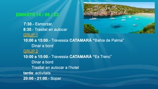 DIMARTS 14 / 06 / 22
7:30.- Esmorzar.
8:30.- Trasllat en autocar
GRUP 1
10:00 a 15:00.- Travessia CATAMARÀ “Bahia de Palma”
Dinar a bord
GRUP 2
10:00 a 15:00.- Travessia CATAMARÀ “Es Trenc”
Dinar a bord
Trasllat en autocar a l’hotel
tarda: activitats
20:00 - 21:00.- Sopar
5
 