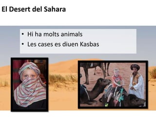 • Fan molt treball artesà
El Desert del Sahara
• Hi ha molts animals
• Les cases es diuen Kasbas
 