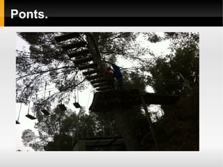 Ponts.
 