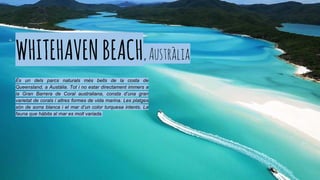 WHITEHAVENBEACH,Austràlia
És un dels parcs naturals més bells de la costa de
Queensland, a Austàlia. Tot i no estar directament immers a
la Gran Barrera de Coral australiana, consta d’una gran
varietat de corals i altres formes de vida marina. Les platges
són de sorra blanca i el mar d’un color turquesa intents. La
fauna que hàbita al mar es molt variada.
 