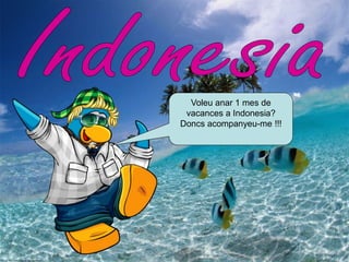 Voleu anar 1 mes de 
vacances a Indonesia? 
Doncs acompanyeu-me !!! 
 
