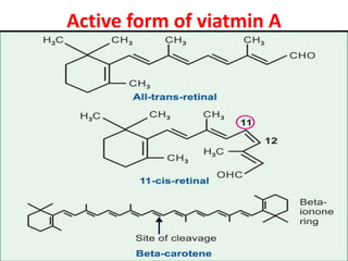 Active form of viatmin A
 