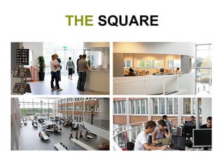THE  SQUARE 