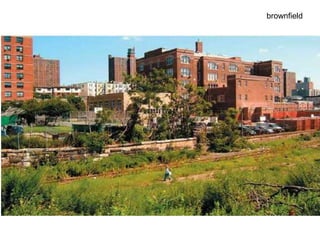 brownfield
 
