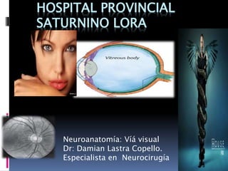 HOSPITAL PROVINCIAL
SATURNINO LORA
Neuroanatomía: Víá visual
Dr: Damian Lastra Copello.
Especialista en Neurocirugía
 