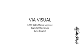 VIA VISUAL
E.M.H Gabriel Ponce Manrique
Capitulo Oftalmología
Curso Cirugia II
 