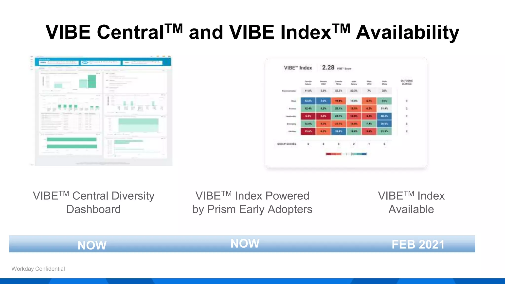 VIBE CentralTM and VIBE IndexTM Availability
Workday Confidential
VIBETM Central Diversity
Dashboard
VIBETM Index Powered
by Prism Early Adopters
VIBETM Index
Available
NOW NOW FEB 2021
 