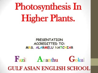 Photosynthesis In
   Higher Plants.

           PRESENTATION
          ACCREDITTED TO:
      MRS. ALARMELU NATCHIAR


  Fazil    Ananthu        Gokul
GULF ASIAN ENGLISH SCHOOL
 