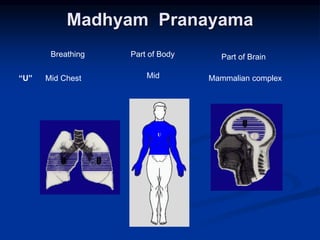 Madhyam Pranayama
“U”
Breathing Part of Body Part of Brain
Mid Chest Mid Mammalian complex
 