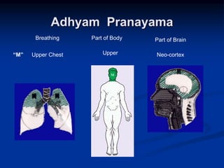 Adhyam Pranayama
“M”
Breathing Part of Body Part of Brain
Upper Chest Upper Neo-cortex
 