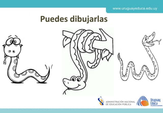 Derechos de autor y Licencias
Agosto 2018
CES
Puedes dibujarlas
 
