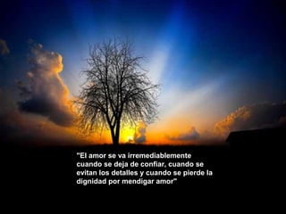 "El amor se va irremediablemente 
cuando se deja de confiar, cuando se 
evitan los detalles y cuando se pierde la 
dignidad por mendigar amor" 
 