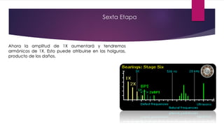 Sexta Etapa
Ahora la amplitud de 1X aumentará y tendremos
armónicos de 1X. Esto puede atribuirse en las holguras,
producto de los daños.
 
