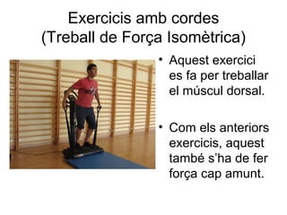 Exercicis amb cordes
(Treball de Força Isomètrica)
                • Aquest exercici
                  es fa per treballar
                  el múscul dorsal.

                • Com els anteriors
                  exercicis, aquest
                  també s’ha de fer
                  força cap amunt.
 