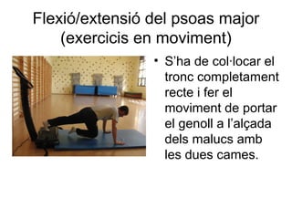Flexió/extensió del psoas major
    (exercicis en moviment)
                • S’ha de col·locar el
                  tronc completament
                  recte i fer el
                  moviment de portar
                  el genoll a l’alçada
                  dels malucs amb
                  les dues cames.
 