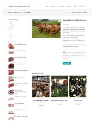 Buy LIMOUSIN CATTLE