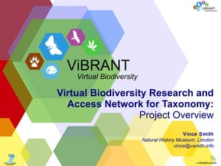 Virtual Biodiversity Research and Access Network for Taxonomy: Project Overview Vince Smith Natural History Museum, London [email_address] ViBRANT Virtual Biodiversity 