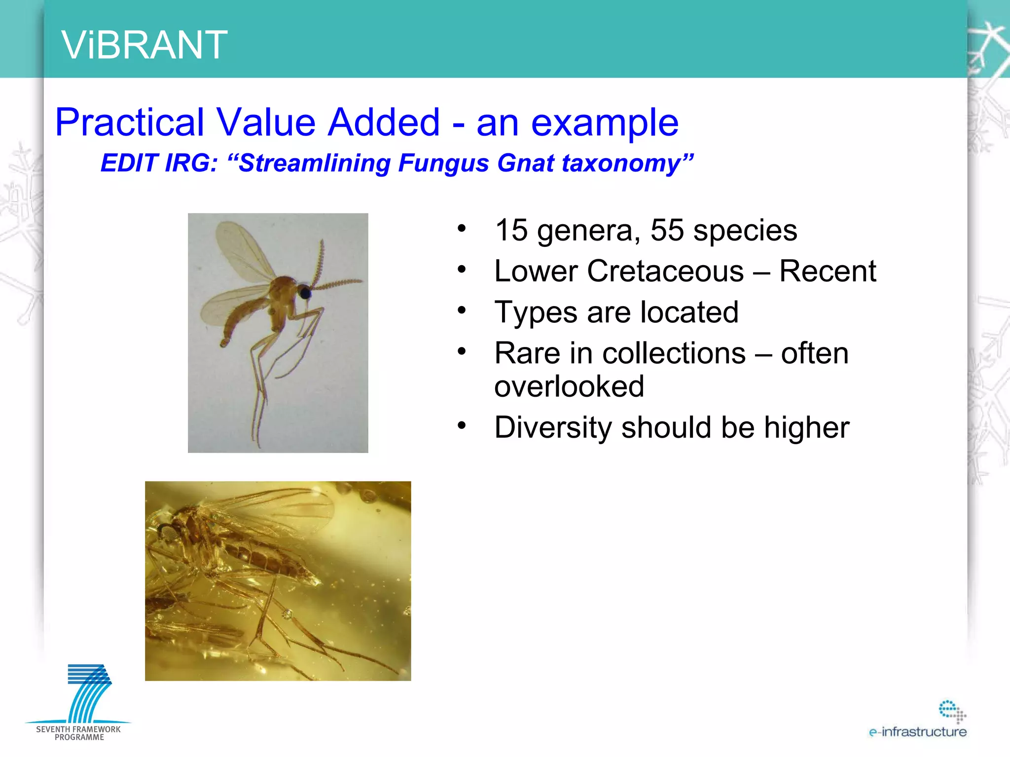 Practical Value Added - an example 15 genera, 55 species Lower Cretaceous – Recent Types are located Rare in collections – often overlooked Diversity should be higher EDIT IRG: “Streamlining Fungus Gnat taxonomy” 