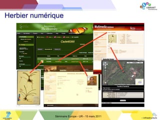 Herbier numérique Séminaire Europe - UR - 15 mars 2011 
