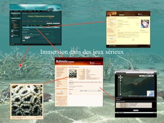 Web immersif Séminaire Europe - UR - 15 mars 2011 Immersion dans des jeux sérieux 