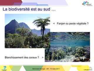 La biodiversité est au sud … Séminaire Europe - UR - 15 mars 2011 <  Fanjan ou peste végétale ? Blanchissement des coraux ?  > 