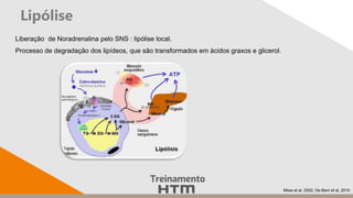 Lipólise
Miwa et al, 2002; De-Bem et al, 2010.
Liberação de Noradrenalina pelo SNS : lipólise local.
Processo de degradação dos lipídeos, que são transformados em ácidos graxos e glicerol.
 