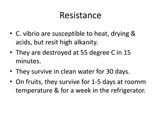 Resistance
• C. vibrio are susceptible to heat, drying &
acids, but resit high alkanity.
• They are destroyed at 55 degree C in 15
minutes.
• They survive in clean water for 30 days.
• On fruits, they survive for 1-5 days at roomm
temperature & for a week in the refrigerator.
 