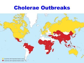 Cholerae Outbreaks
 