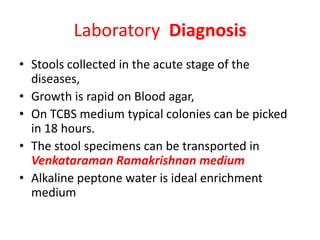Laboratory Diagnosis
• Stools collected in the acute stage of the
diseases,
• Growth is rapid on Blood agar,
• On TCBS medium typical colonies can be picked
in 18 hours.
• The stool specimens can be transported in
Venkataraman Ramakrishnan medium
• Alkaline peptone water is ideal enrichment
medium
 