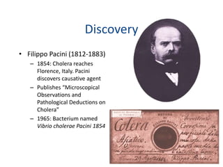Discovery
• Filippo Pacini (1812-1883)
– 1854: Cholera reaches
Florence, Italy. Pacini
discovers causative agent
– Publishes “Microscopical
Observations and
Pathological Deductions on
Cholera”
– 1965: Bacterium named
Vibrio cholerae Pacini 1854
 