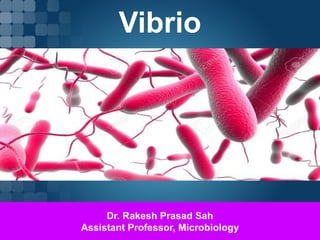 Vibrio
Dr. Rakesh Prasad Sah
Assistant Professor, Microbiology
 