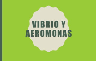 VIBRIO Y
AEROMONAS
 