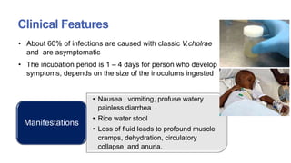 Picture of Vibrio | PPTX