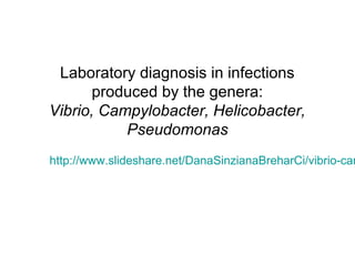 Laboratory diagnosis in infections
produced by the genera:
Vibrio, Campylobacter, Helicobacter,
Pseudomonas
http://www.slideshare.net/DanaSinzianaBreharCi/vibrio-cam
 