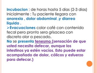 Incubacion : de horas hasta 5 dias (2-3 dias)
Inicialmente : Tu paciente llegara con
anorexia , dolor abdominal ,y diarrea
liquida .
Evacuaciones color café con contenido
fecal pero pronto sera grisacea con
discreto olor a pescado.
No se presenta tenesmo (sensación de que
usted necesita defecar, aunque los
intestinos ya estén vacíos. Esto puede estar
acompañado de dolor, cólicos y esfuerzo
para defecar.)
 