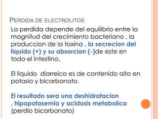 PERDIDA DE ELECTROLITOS
La perdida depende del equilibrio entre la
magnitud del crecimiento bacteriano , la
produccion de la toxina , la secrecion del
liquido (+) y su absorcion (-)de este en
todo el intestino.
El liquido diarreico es de contenido alto en
potasio y bicarbonato.
El resultado sera una deshidratacion
, hipopotasemia y acidosis metabolica
(perdio bicarbonato)
 