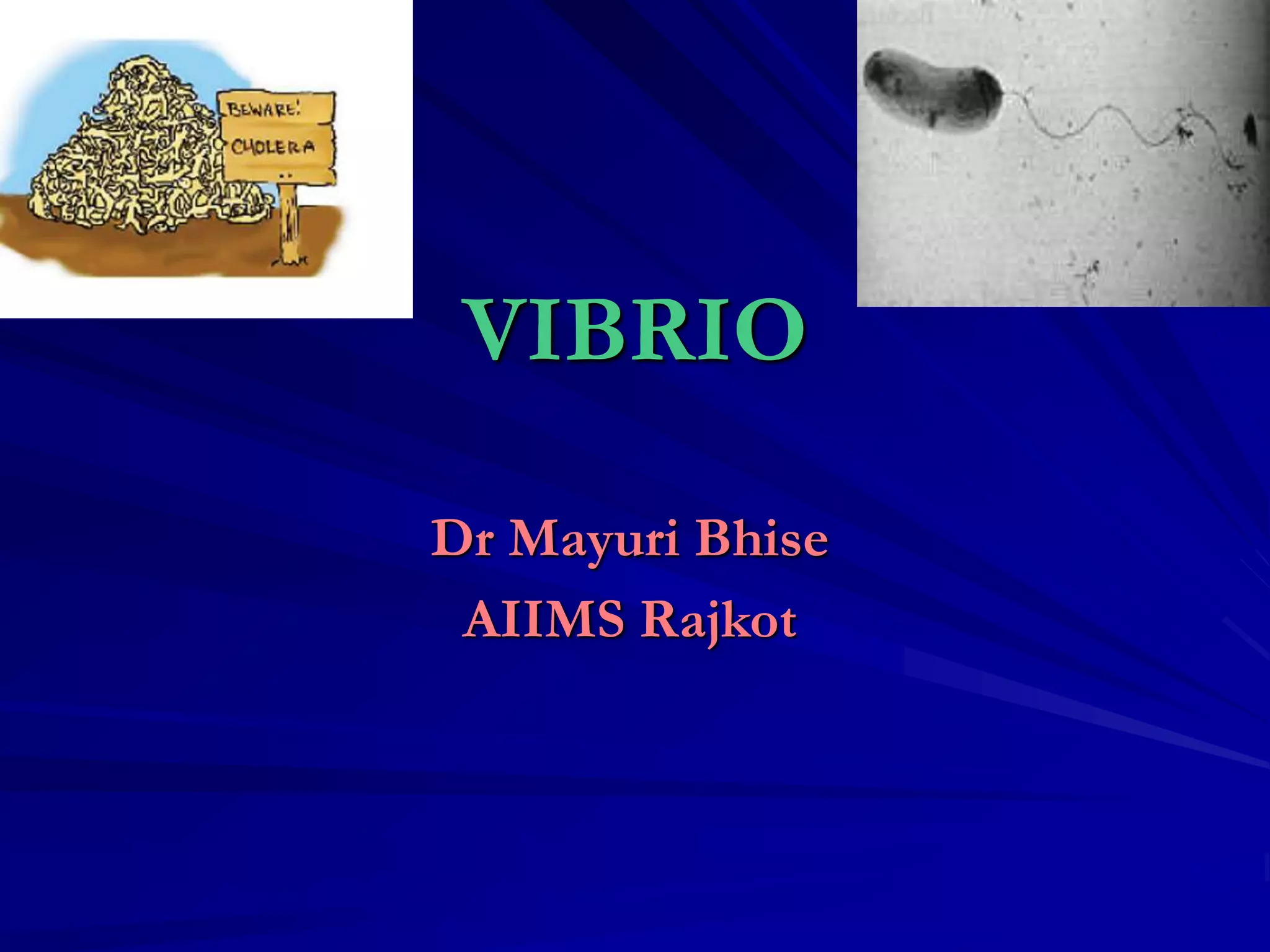 Vibrio cholera and Halophilic vibrio.ppt