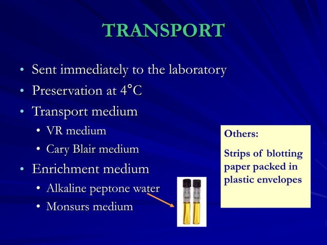 Vibrio cholera and Halophilic vibrio.ppt