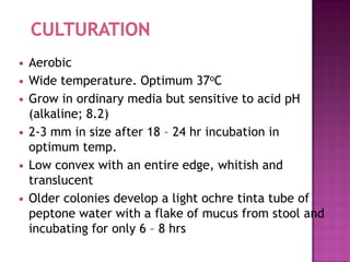    Aerobic
   Wide temperature. Optimum 37oC
   Grow in ordinary media but sensitive to acid pH
    (alkaline; 8.2)
   2-3 mm in size after 18 – 24 hr incubation in
    optimum temp.
   Low convex with an entire edge, whitish and
    translucent
   Older colonies develop a light ochre tinta tube of
    peptone water with a flake of mucus from stool and
    incubating for only 6 – 8 hrs
 