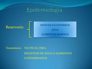 INDIVIDUOS ENFERMOS
Reservorio
                              AGUA
                       ALIMENTOS MARINOS




Transmision: VIA FECAL ORAL
             INGESTION DE AGUA O ALIMENTOS
             CONTAMINADOS
 