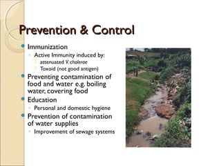 Prevention & Control
 Immunization
  ◦ Active Immunity induced by:
     attenuated V. cholerae
     Toxoid (not good antigen)
 Preventing contamination of
  food and water e.g. boiling
  water, covering food
 Education
  ◦ Personal and domestic hygiene
 Prevention of contamination
  of water supplies
  ◦ Improvement of sewage systems
 
