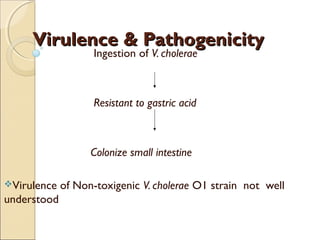 Virulence & Pathogenicity
                    Ingestion of V. cholerae



                    Resistant to gastric acid



                   Colonize small intestine

Virulence   of Non-toxigenic V. cholerae O1 strain not well
understood
 