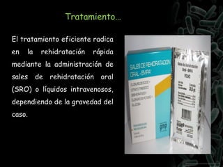 Tratamiento…
El tratamiento eficiente radica
en la rehidratación rápida
mediante la administración de
sales de rehidratación oral
(SRO) o líquidos intravenosos,
dependiendo de la gravedad del
caso.
 