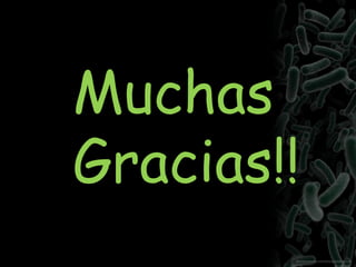 Muchas
Gracias!!
 