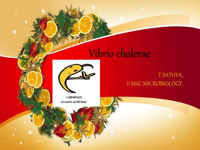 Vibrio cholerae PPT for students | PPTX