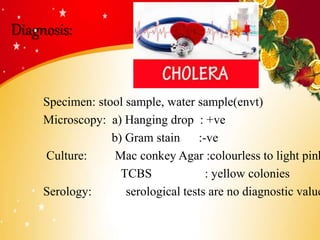Diagnosis:
Specimen: stool sample, water sample(envt)
Microscopy: a) Hanging drop : +ve
b) Gram stain :-ve
Culture: Mac conkey Agar :colourless to light pink
TCBS : yellow colonies
Serology: serological tests are no diagnostic value
 
